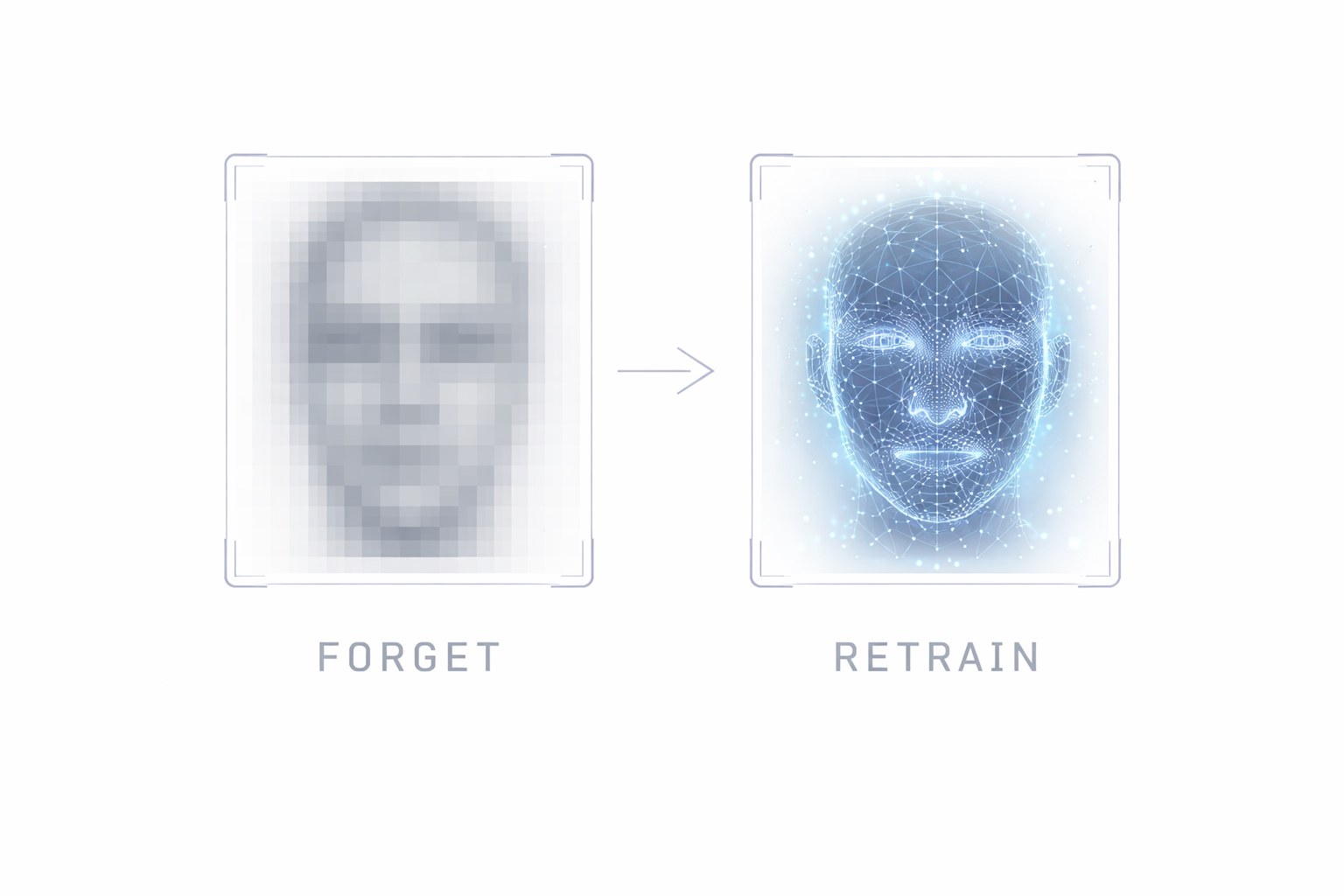 Face Recognition Unlearning preview